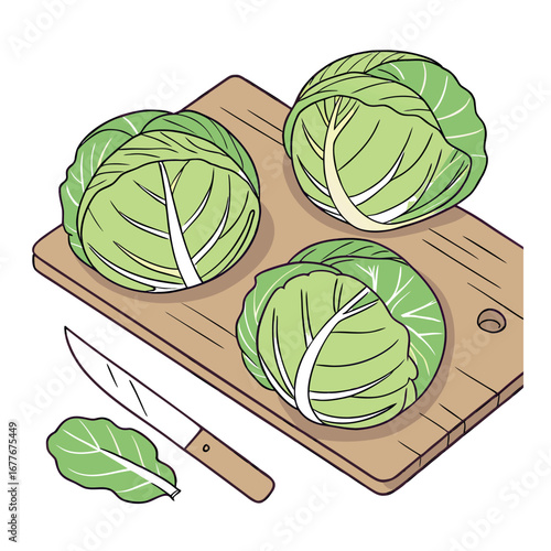 Healthy Cabbage Flatlay Image for Recipe Use – Fresh Vegetable Vector