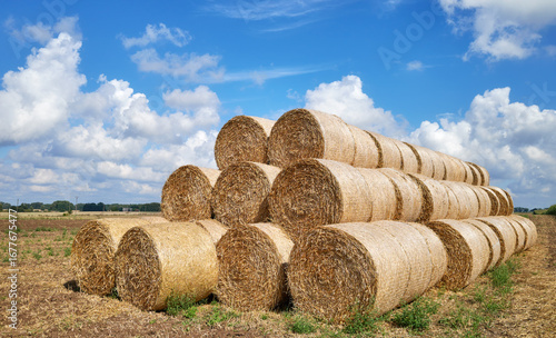 Hay bales against the sky.