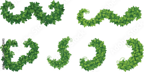 Curly Ivy Vine Vector Collection – Green Climbing Plant Elements in Twisting Shapes for Nature Borders, Garden Design, Floral Frames, and Botanical Art