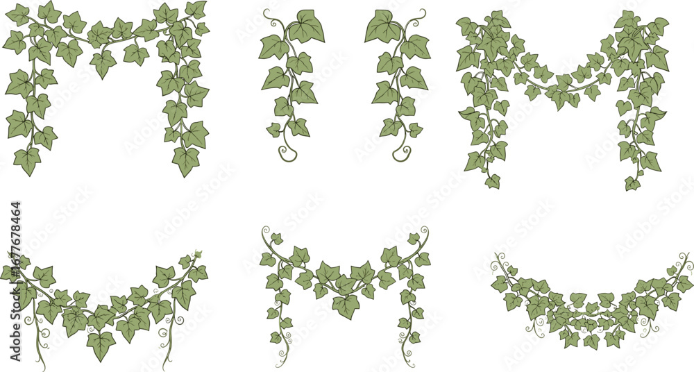 custom made wallpaper toronto digitalSet of Horizontal Hanging Ivy Branches and Garlands with Green Leaves and Twisting Vines, Decorative Botanical Nature Elements, Garden Plant Illustrations