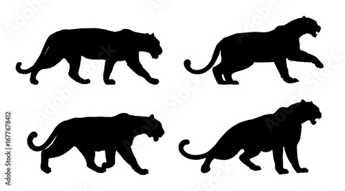 Black panther silhouette set - vecrot illustration