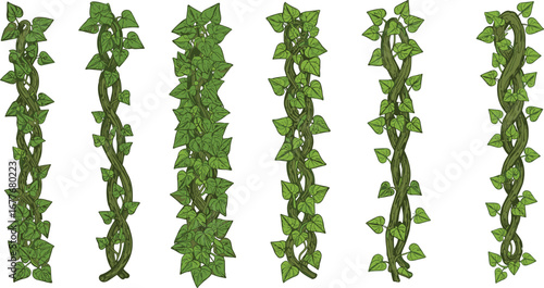 Vertical Climbing Ivy Vines Vector Set – Twisting Green Plant Elements for Jungle Borders, Garden Decor, Nature Dividers, and Botanical Illustrations