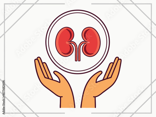 Hands Cupping A Kidney Icon For World Kidney Day Medical Care kidneys health