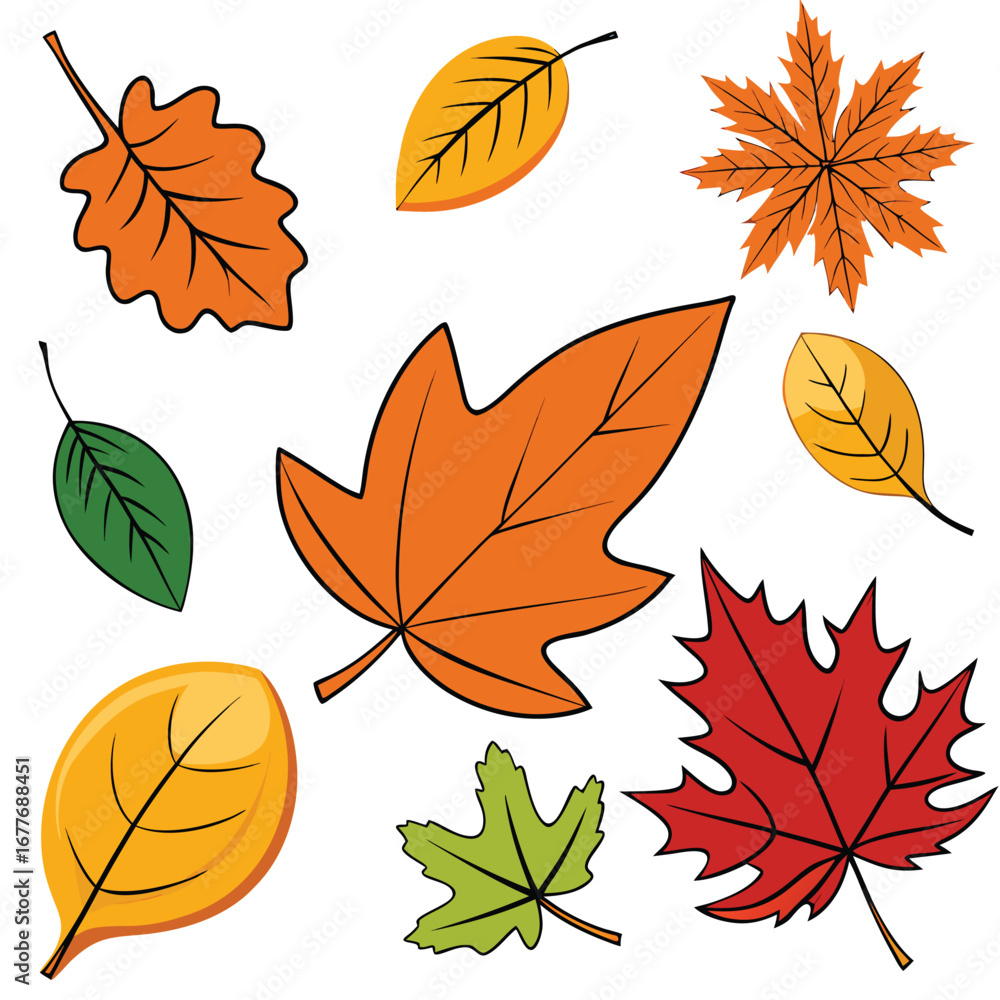 Obraz premium Autumn leaves collection with colorful maple oak and birch foliage in a decorative vector set