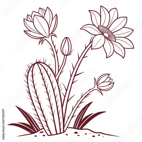 cactus star limited edition flowers vector
