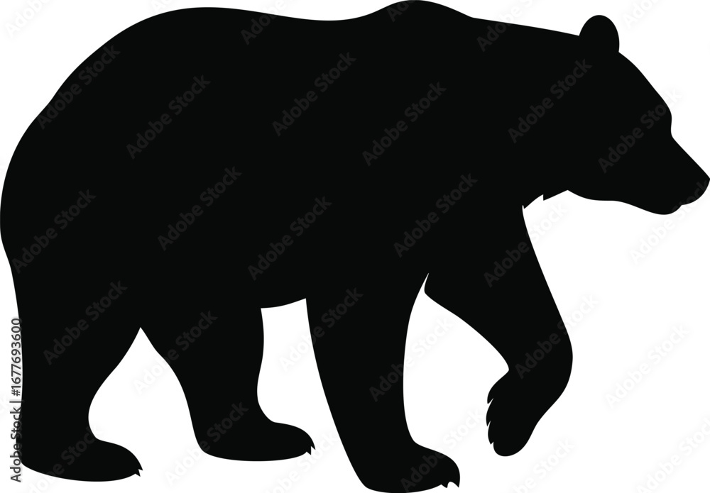 Fototapeta premium Majestic bear silhouette walking proudly capturing the power and grace of wildlife in nature silhouette