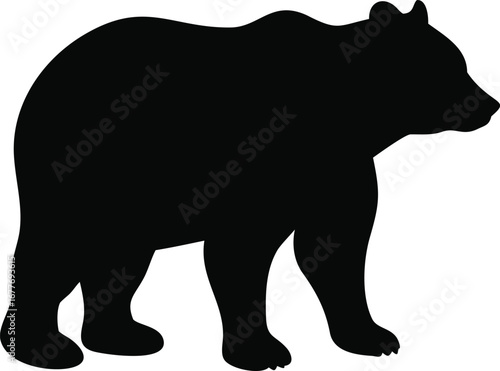 Majestic black silhouette of a grizzly bear standing alertly with fur detail silhouette