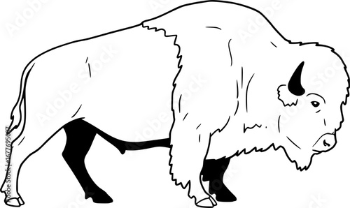 Bison buffalo vector silhouette, outline vector illustration on white background

