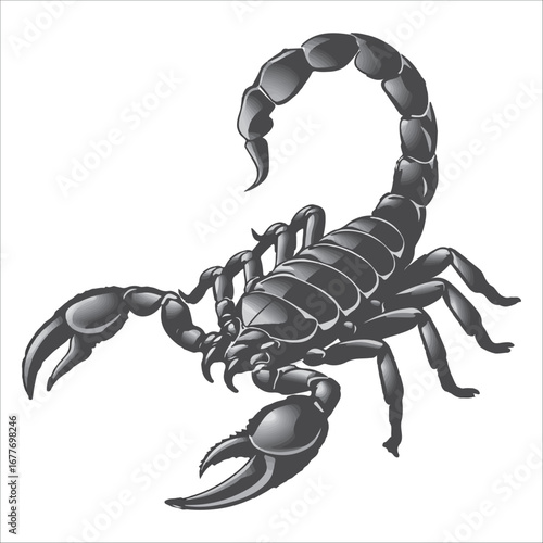 Scorpion Silhouette vector illustration: Powerful, Dramatic, Vector Illustration, Isolated on White. Vector Graphic, Intense, Detailed, Monochrome, Arthropod Design.