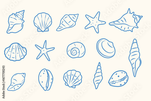 Set  seashells Hand drawn  vector logo isolated on white background.