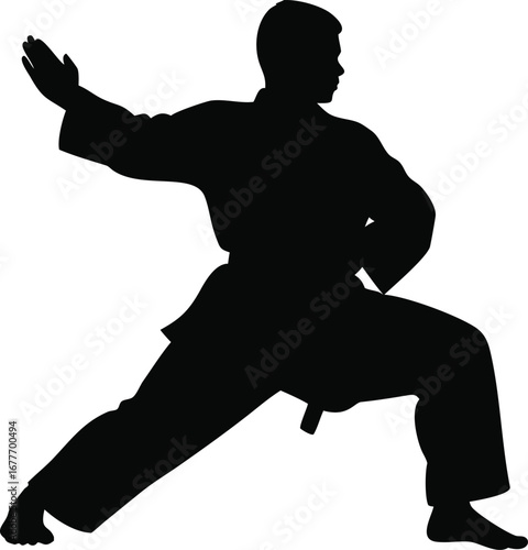Silhouette of a martial artist performing a dynamic karate pose demonstrating strength and discipline silhouette