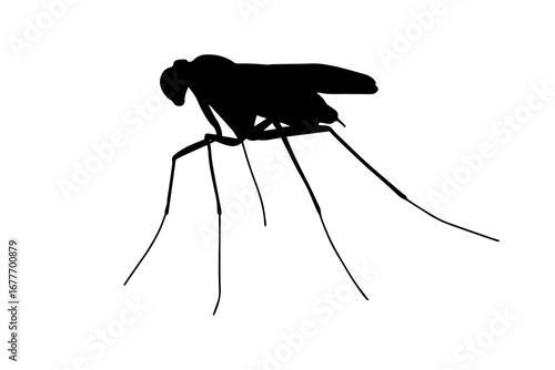 Simple flat mosquito icon. Black silhouette sticker.