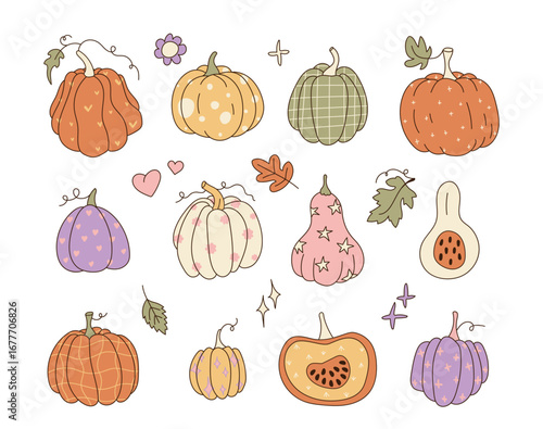 Assorted Decorative Pumpkins and Gourds