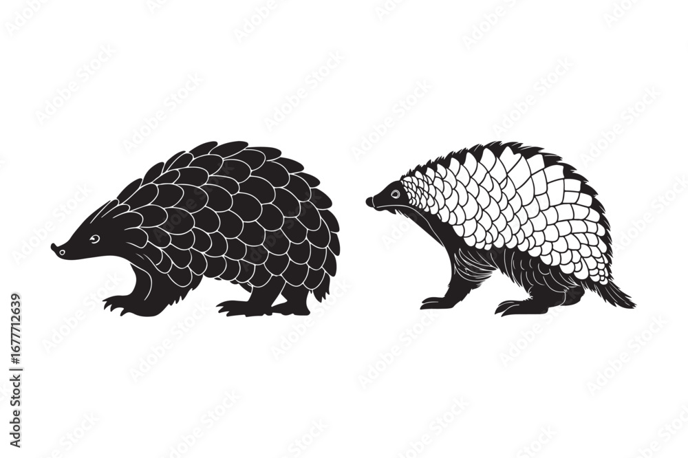Fototapeta premium Two stylized pangolins side by side in black and white