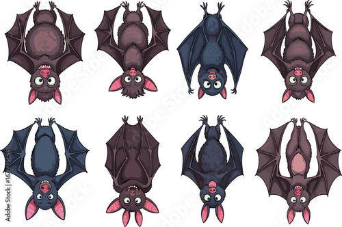 cartoon, bat, hanging, upside down, animal, illustration, nocturnal, wings, cute, character, halloween, dark, fur, expression, species, wildlife, design, vector