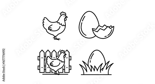 Line drawings showcasing hens and eggs, including a cracked shell and a hen by a fence design