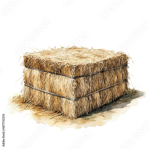 Hay Bale Rustic Farm, watercolor drawing vector, isolated on a white background.
