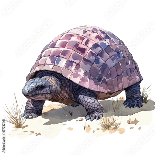 Glyptodon, watercolor clipart vector, isolated on a white background.