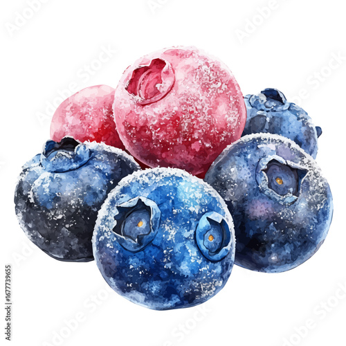 Frozen Berries, watercolor vector, isolated on a white background.