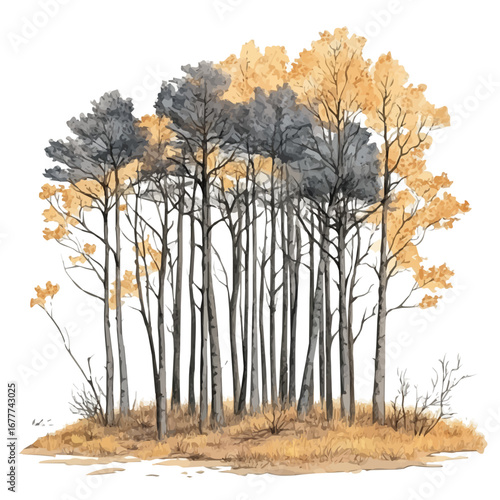watercolor vector of Fall Forest Misty Morning, isolated on a white background.