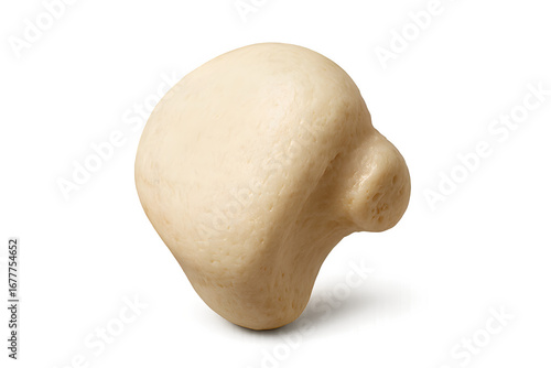 Isolated human patella bone on white background showing kneecap structure for anatomical and orthopedic reference