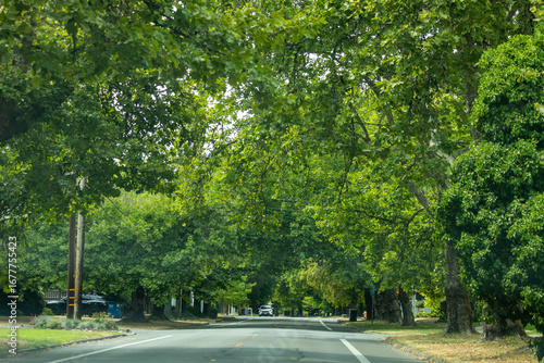 Driving through Corvallis, Oregon reveals a blend of tree-lined streets, college-town charm, and scenic Willamette Valley landscapes.