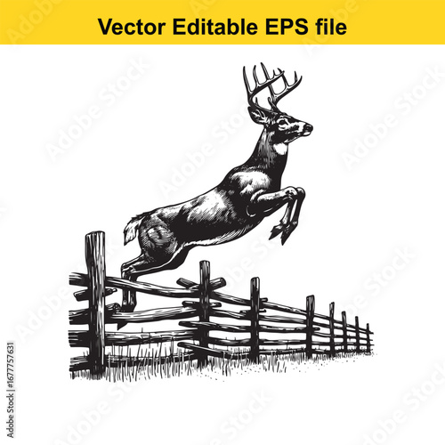 A whitetail majestic deer leaping over a rustic wooden fence, isolated on white background