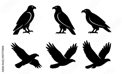 Silhouette birds of prey in standing and flying poses