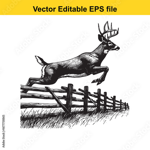 A whitetail buck deer jumping over a wooden fence in a dynamic pose