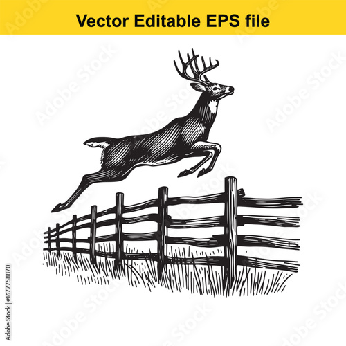 A whitetail buck deer jumping over wooden fence in vintage engraving style isolated on white background