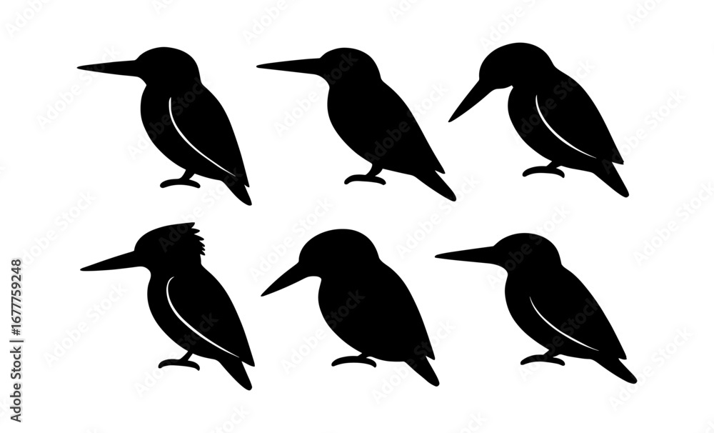 Obraz premium Kingfisher silhouettes: minimalist bird profiles in black and white
