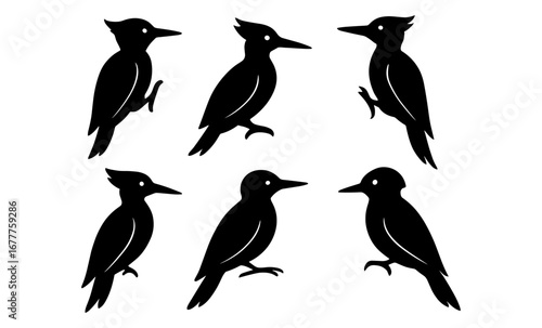 Silhouette set of six woodpecker birds in various poses on white background