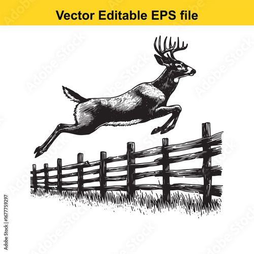 A whitetail deer jumping over a wooden fence in a black and white illustration