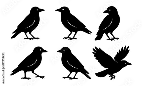 Wallpaper Mural Silhouette set of crows: various poses of black birds in minimalist design Torontodigital.ca