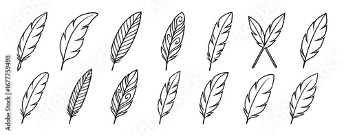 Set of hand drawn feather designs in linear style for creative projects