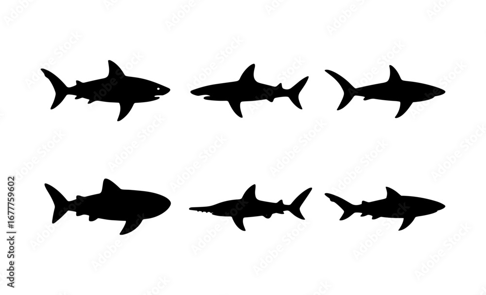 Fototapeta premium Shark silhouette set: diverse marine predators in simple black shapes