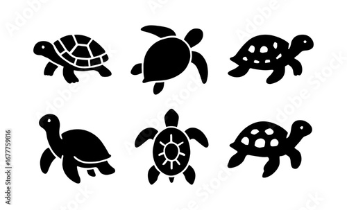 Silhouettes of six turtles: minimalist black designs on white background