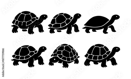 Set of silhouette turtles in various poses on white background