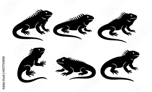 Silhouette iguana icons collection on white background