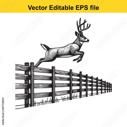 A whitetail deer jumping over a wooden fence, isolated on white background