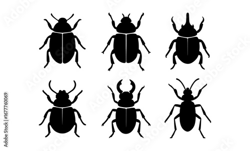 Set of beetle silhouettes with various shapes and horns on white background