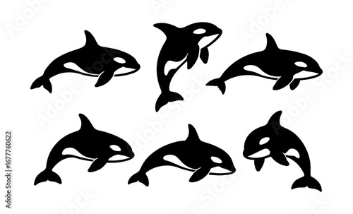 Orca silhouette set: collection of black and white killer whale designs