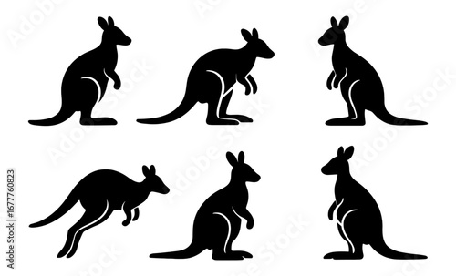 Silhouette set of kangaroo poses: iconic australian wildlife collection