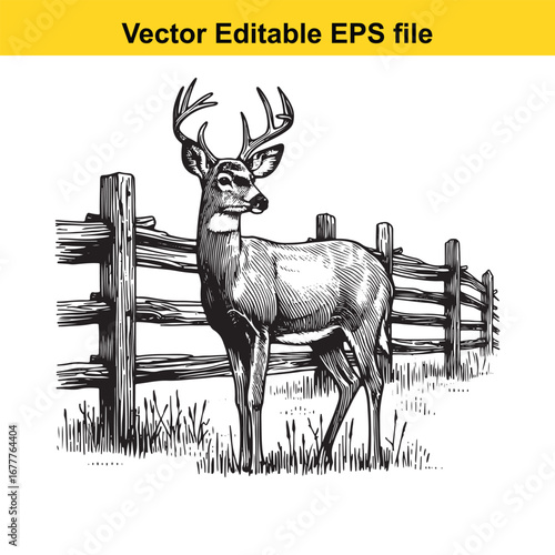 A whitetail detailed illustration of a majestic buck standing behind a rustic wooden fence in a field