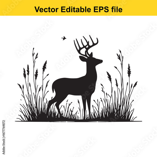 A whitetail silhouette of a majestic deer standing in tall grass, isolated on white background