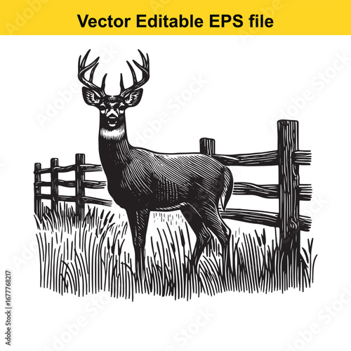 A whitetail majestic buck deer standing in tall grass behind a wooden fence