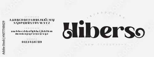 Hibers Elegant Font Uppercase Lowercase and Number. Classic Lettering Minimal Fashion Designs. Typography modern serif fonts regular decorative vintage concept. vector illustration

