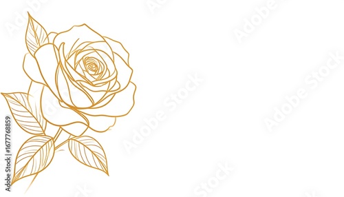 Ornate gold line art of a rose, beautifully detailed against a white background.