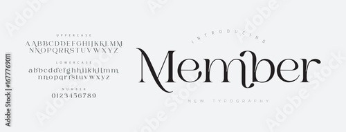 Member Elegant Font Uppercase Lowercase and Number. Classic Lettering Minimal Fashion Designs. Typography modern serif fonts regular decorative vintage concept. vector illustration

