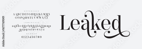 Leaked Elegant Font Uppercase Lowercase and Number. Classic Lettering Minimal Fashion Designs. Typography modern serif fonts regular decorative vintage concept. vector illustration

